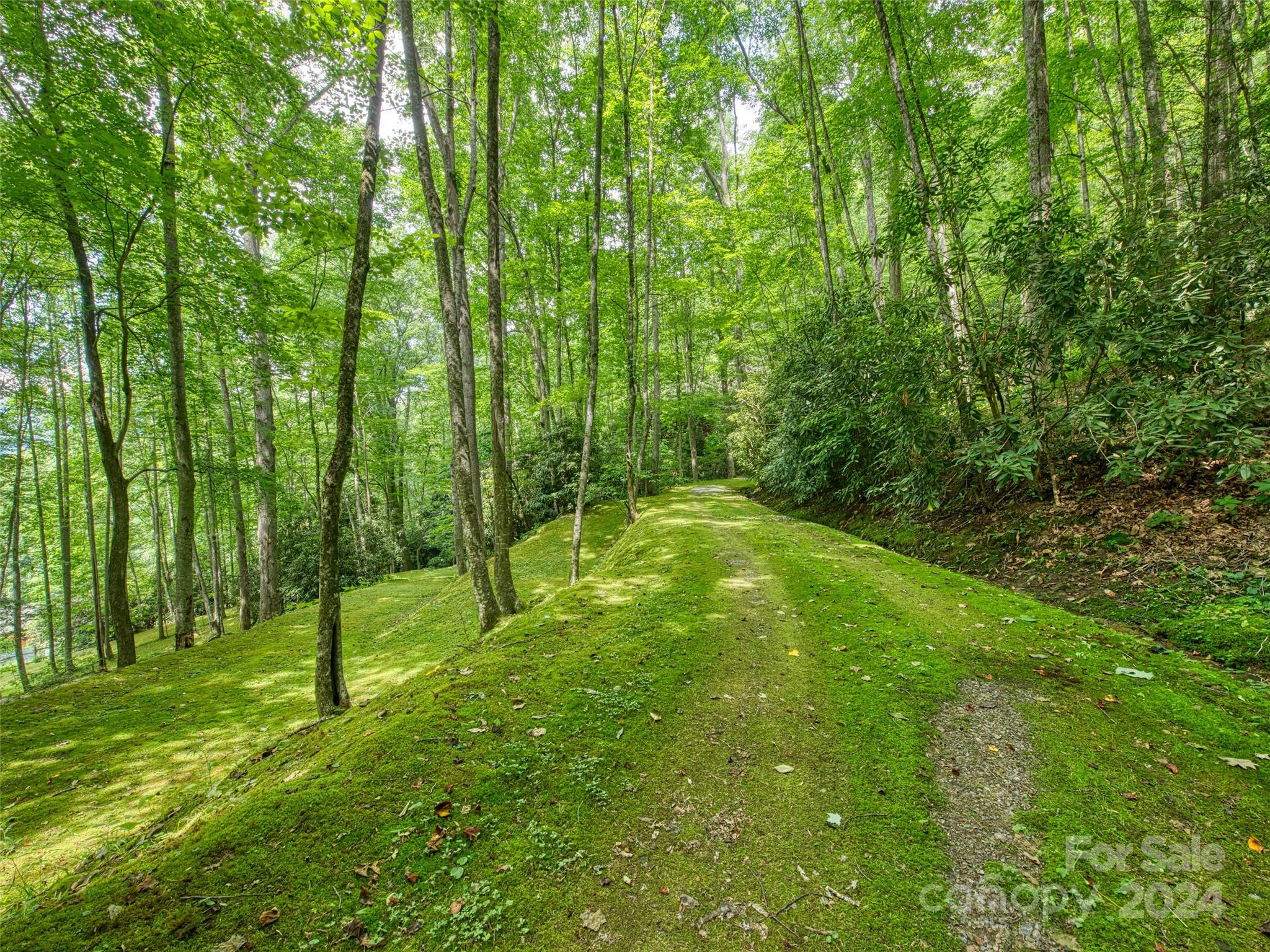 Little Pine Mtn Estates - Land