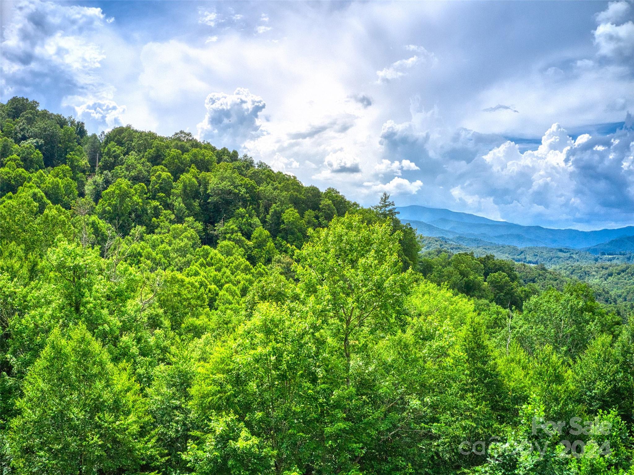 Little Pine Mtn Estates - Land