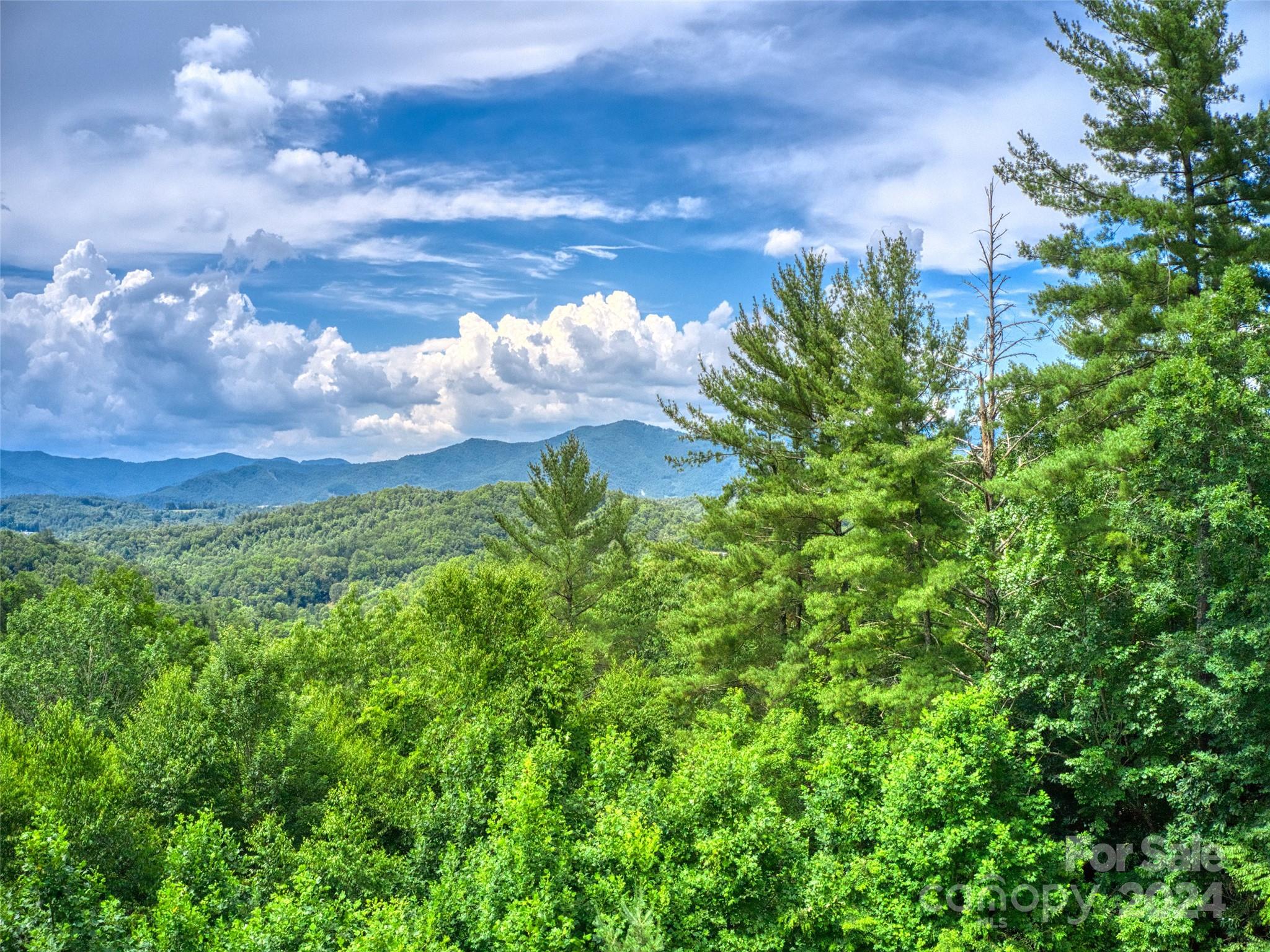 Little Pine Mtn Estates - Land