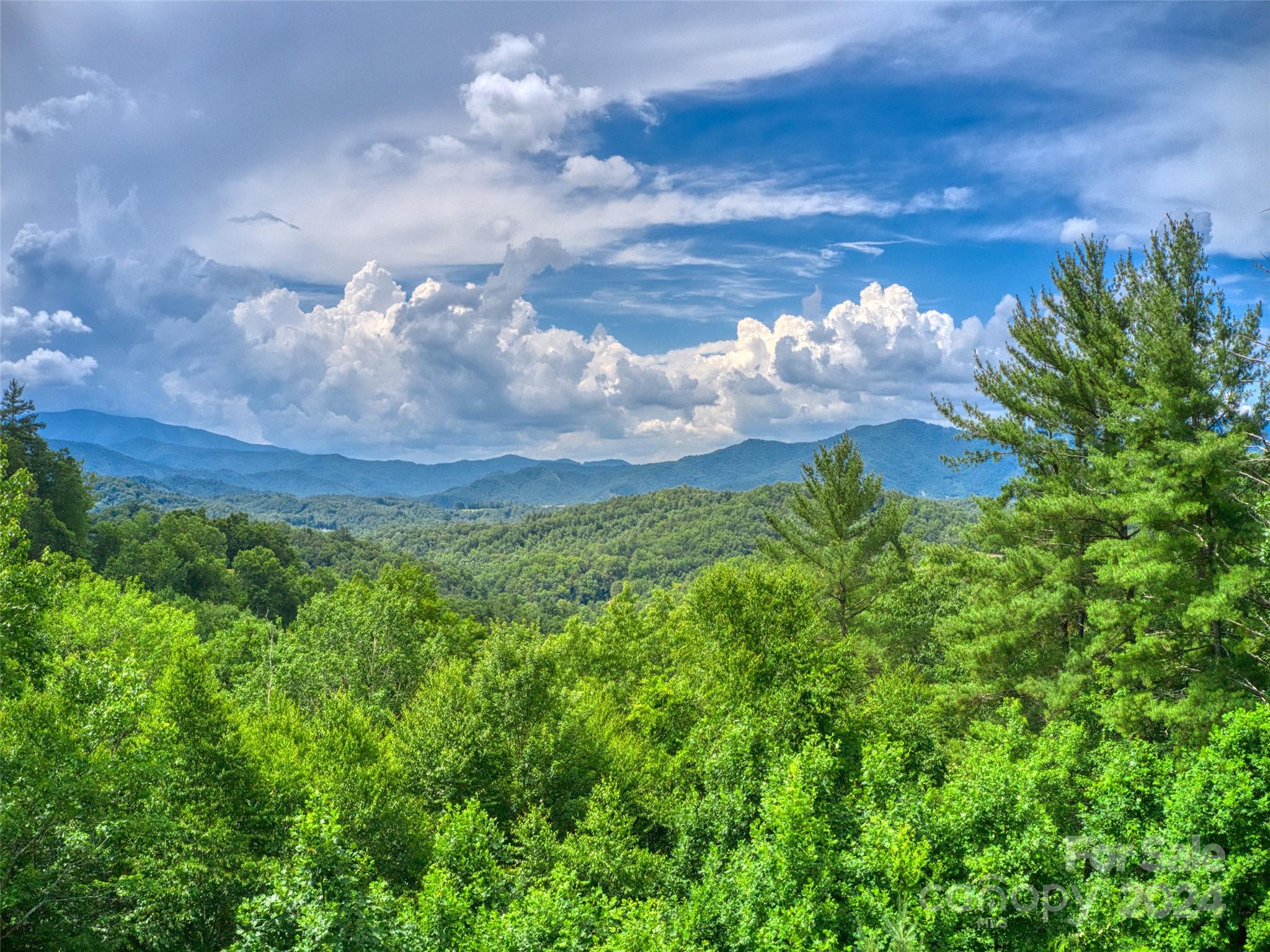 Little Pine Mtn Estates - Land