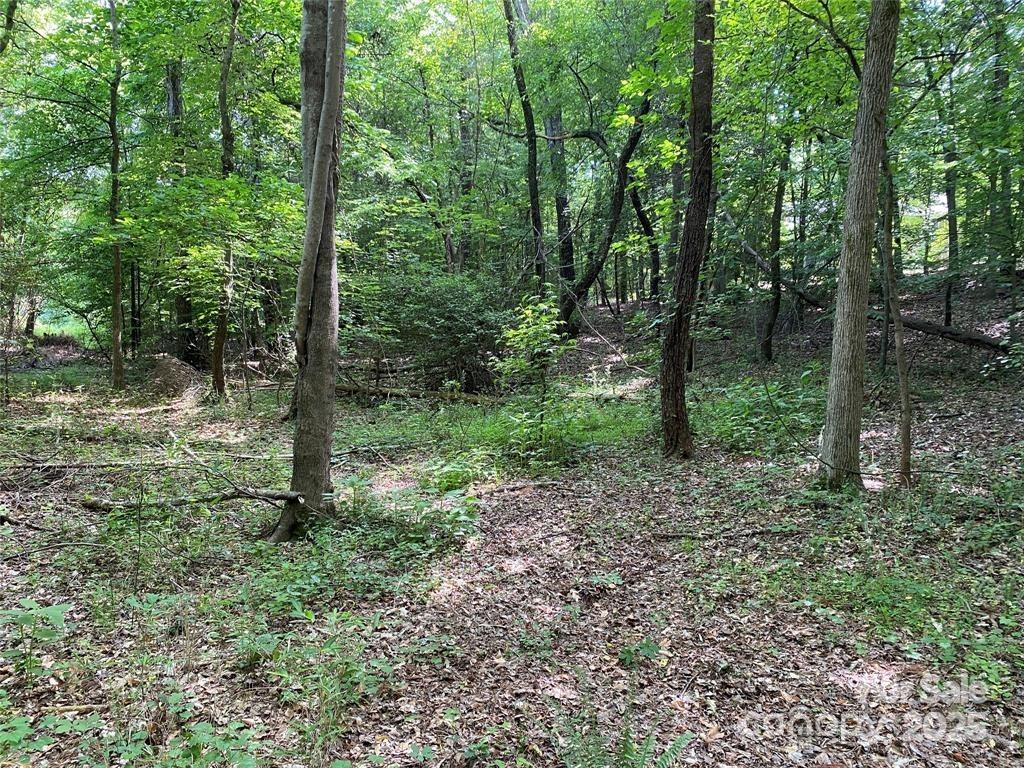 Lake Norman Woods - Land