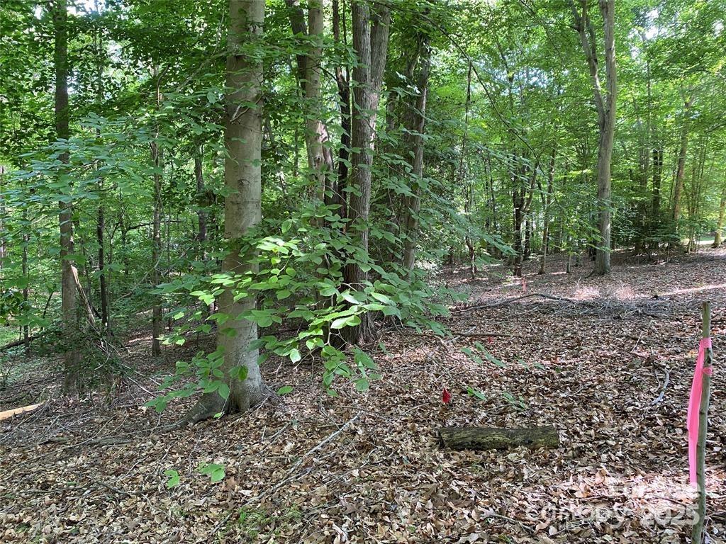 Lake Norman Woods - Land