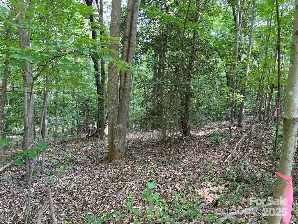 Lake Norman Woods - Land