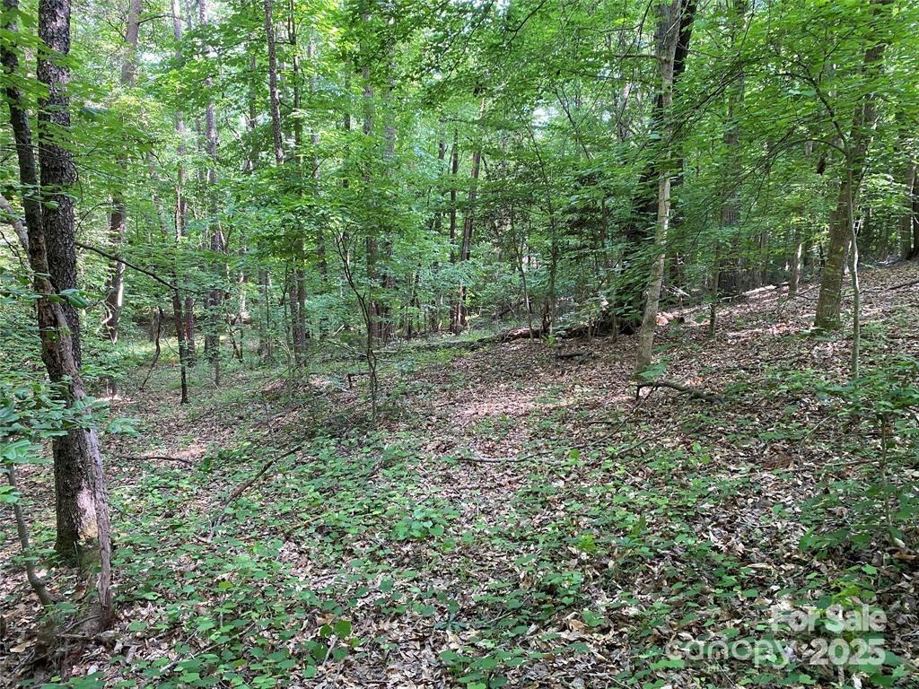 Lake Norman Woods - Land