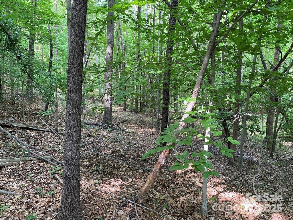 Lake Norman Woods - Land