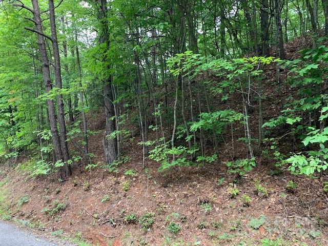 Lots 198-200 Mckenzie Way S
