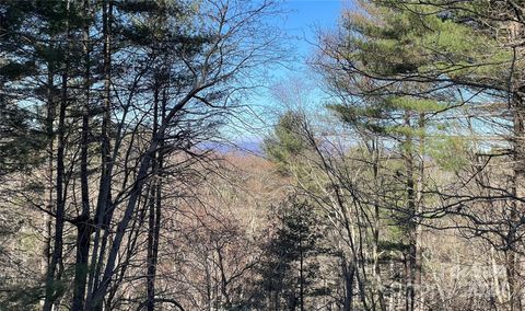 A home in Pisgah Forest