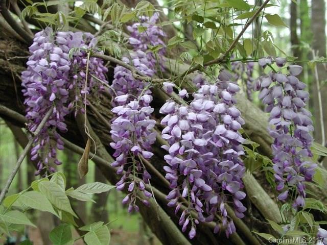 Wintercrest - Residential