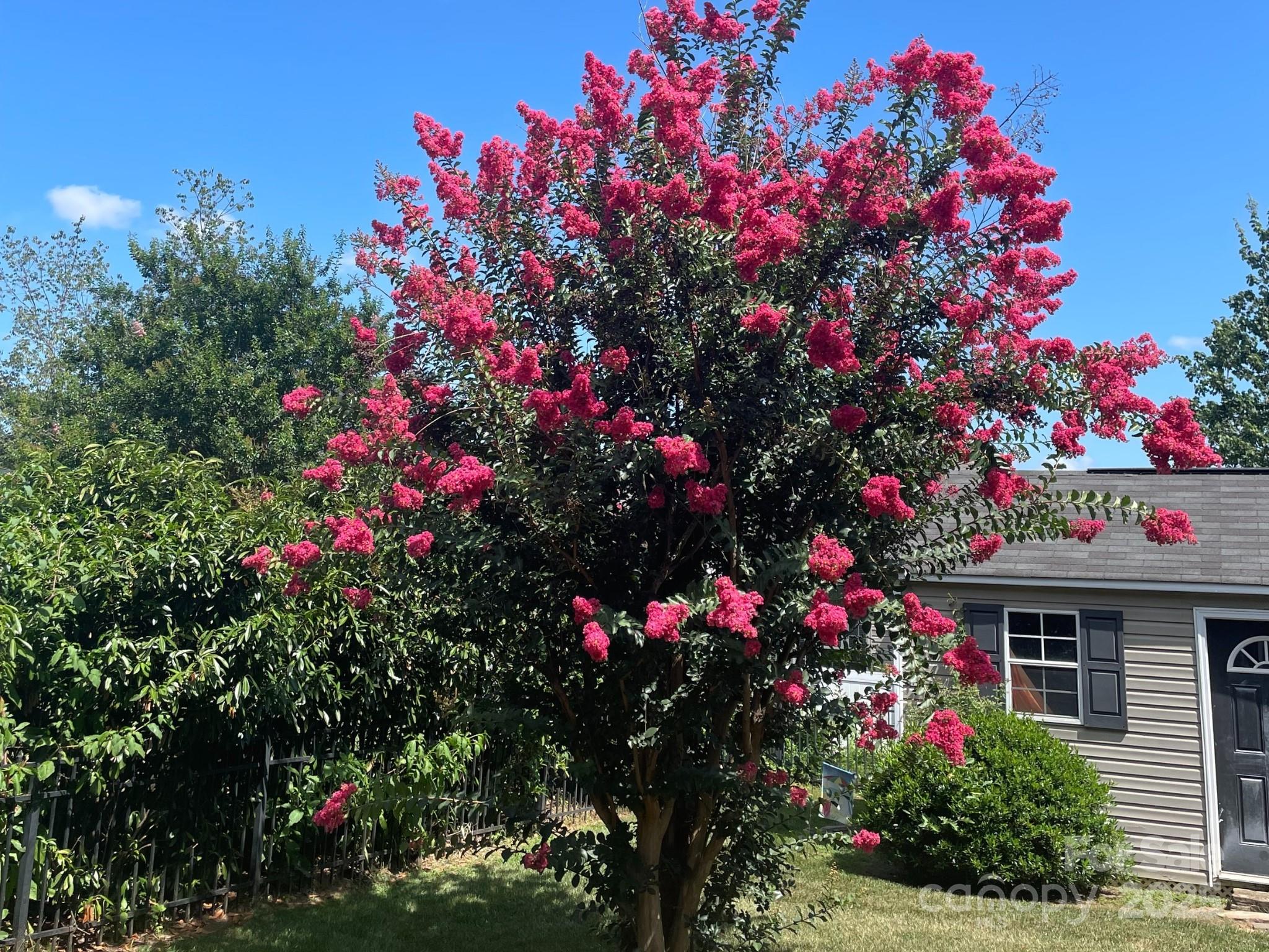 Harris Village - Residential