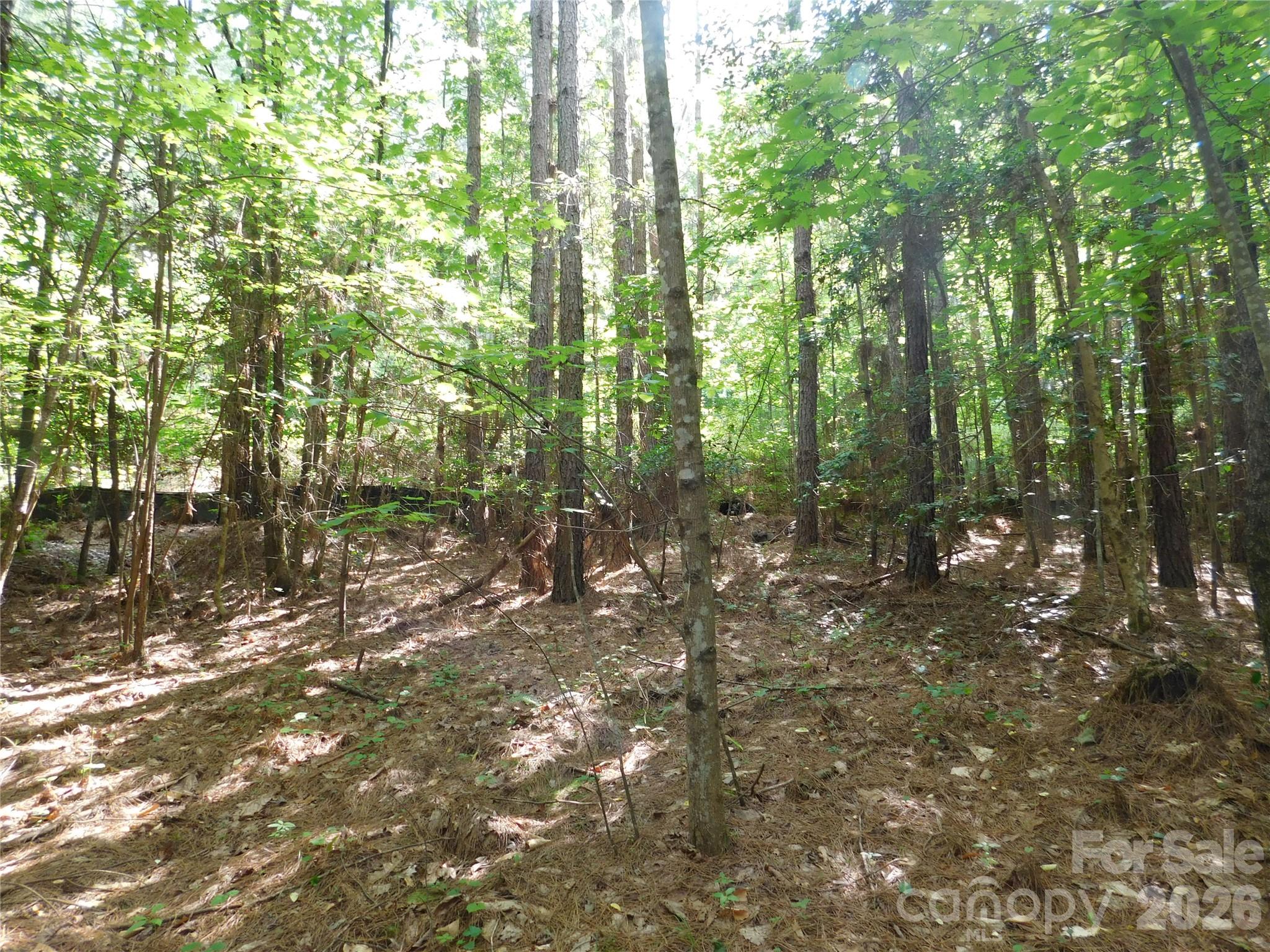 207 W Settings Boulevard NW, Valdese, NC, 28690