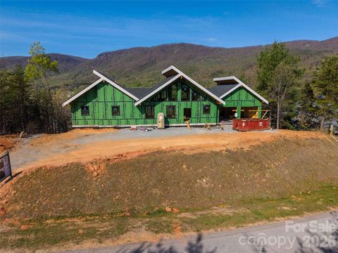 Photo of 788 E Deep Gap Farm Road, Mill Spring, NC 28756 (MLS # 4349142)