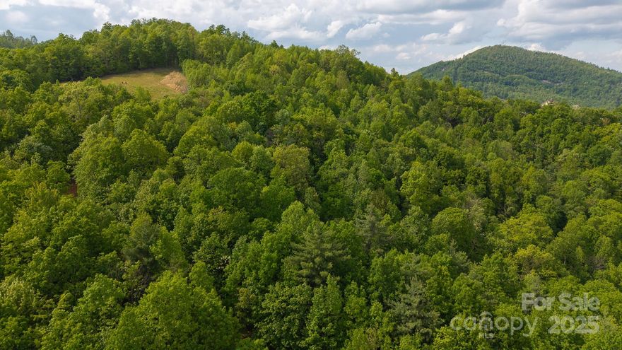 This 3.5+/- acre parcel is a slice of pure, untamed country—great for anyone looking to escape the noise and reconnect with the land. Tucked away on a privately maintained gravel and dirt road, it offers just the right mix of seclusion and adventure. Whether you're into bow hunting, camping, or simply soaking in the stillness of the woods, this place has the kind of rugged charm that’s hard to come by. Build a weekend cabin or your forever home—either way, you’ll enjoy peaceful nights under the stars, the scent of campfire smoke in the air, and the freedom to roam. Getting here is part of the experience. The road’s rough and rugged, so a 4-wheel drive vehicle is recommended. But for those who don’t mind a little mud and dust, the reward is a true off-the-grid retreat—untouched, wild, and all yours to explore. Additional acreage available!