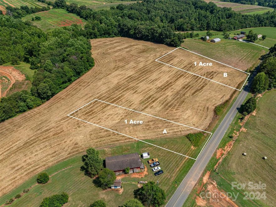 Discover the perfect canvas for your dream home on this 1-acre lot nestled in the heart of scenic Western Lincoln County. Boasting a tranquil setting with panoramic views of rolling hills, this property offers an ideal blend of privacy and convenience. This lot is cleared and flat, bring your builder! This property is being separated from a larger property and will be officially recorded.