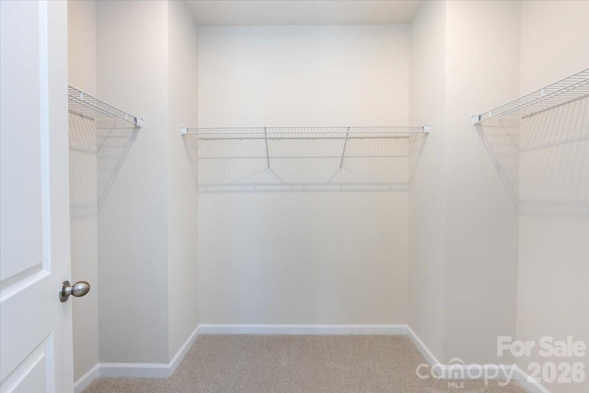 Bellflower - Residential