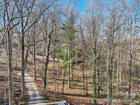 20 ARMSTRONG RD, ETOWAH, NC 28729 - Image d19aaaac7286fb2ca6bdbffd5c71f8f9/2977904796