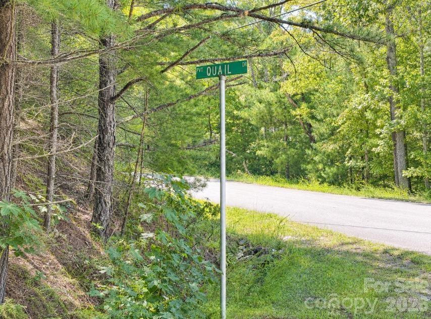 Lots 21-A, 22-B Quail Drive