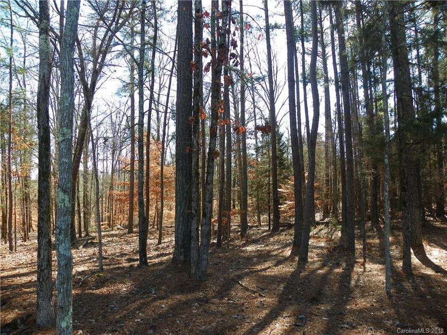 !!! Beautiful family property excellent for development !!!  Has a brick home currently on the property.  Close to Charlotte Motor Speedway / Development taken place next door and cross the street / This property is currently in Mecklenburg county ONLY and would probably need to be annexed into Charlotte for positive development.