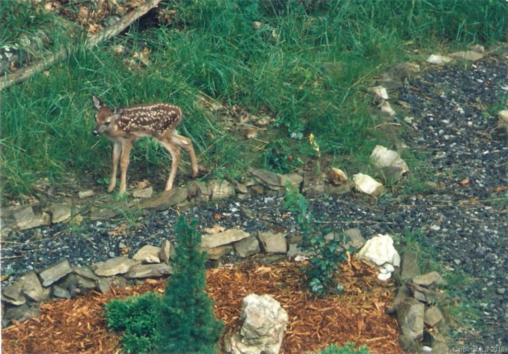 Sheepback Mountain Estates - Residential