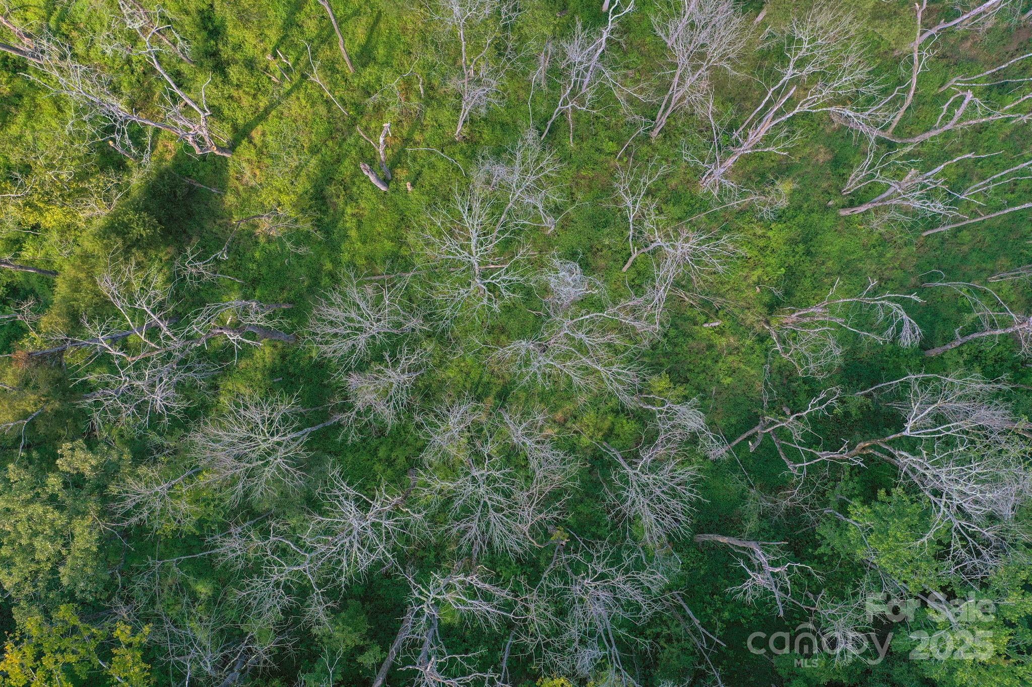 Triple C Mini Ranches - Land