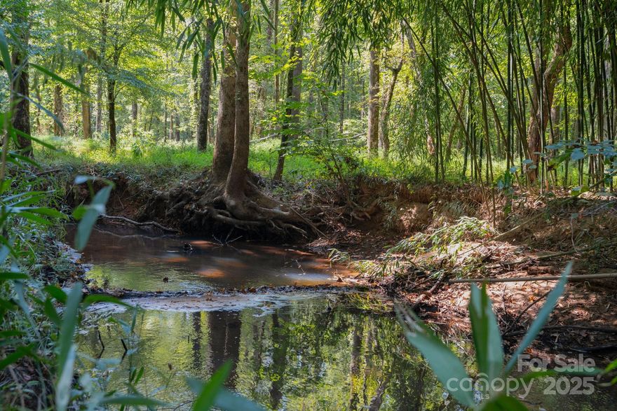 Seller Financing Available—pay only a portion now!
Discover ±22 acres in Union County, just outside Waxhaw. The front of the property offers dry land for your potential homesite, while the back features ±16 acres of wetlands backing up to Waxhaw Creek. This diverse landscape attracts deer, waterfowl, and other wildlife, creating the perfect setting for recreation, hunting, or a private retreat.

No deed restrictions give you the freedom to shape the property to your needs.  A soil test was done on the property and will be provided upon request.  All of this is just minutes from Downtown Waxhaw’s shops, dining, and community events. A rare opportunity to enjoy wide open space while staying close to everything. *Buyers should conduct independent verification of all zoning, septic, well, and development requirements.