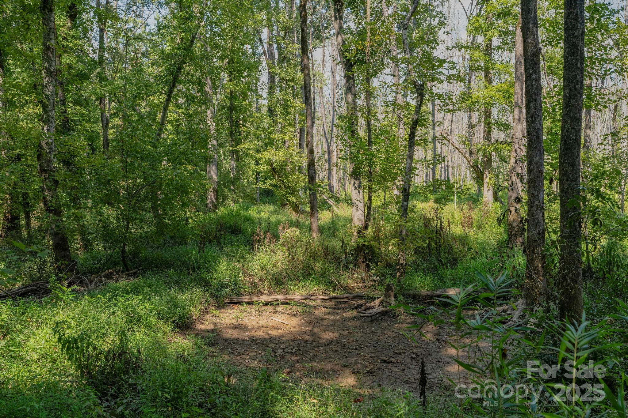 Triple C Mini Ranches - Land