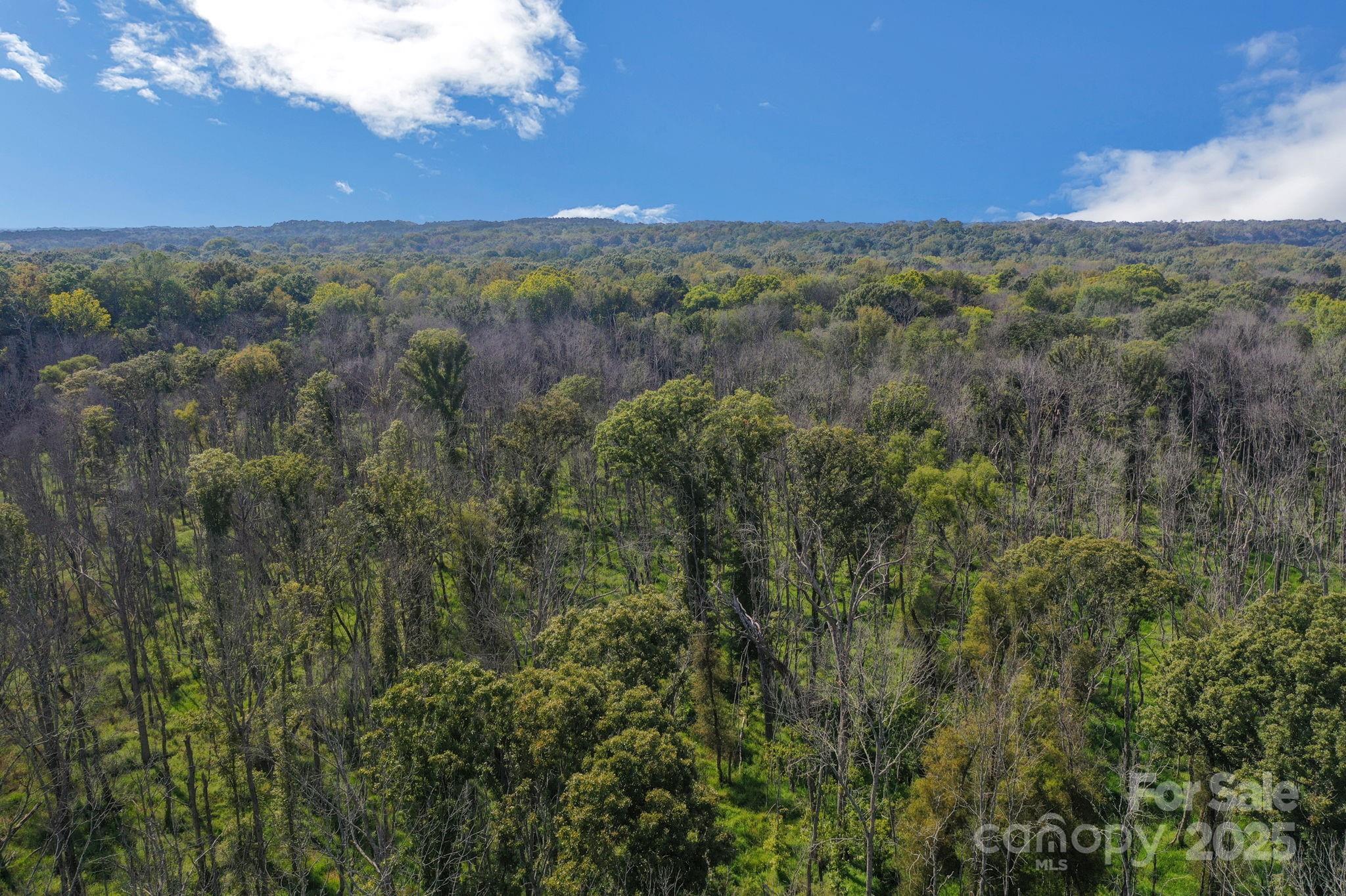 Triple C Mini Ranches - Land