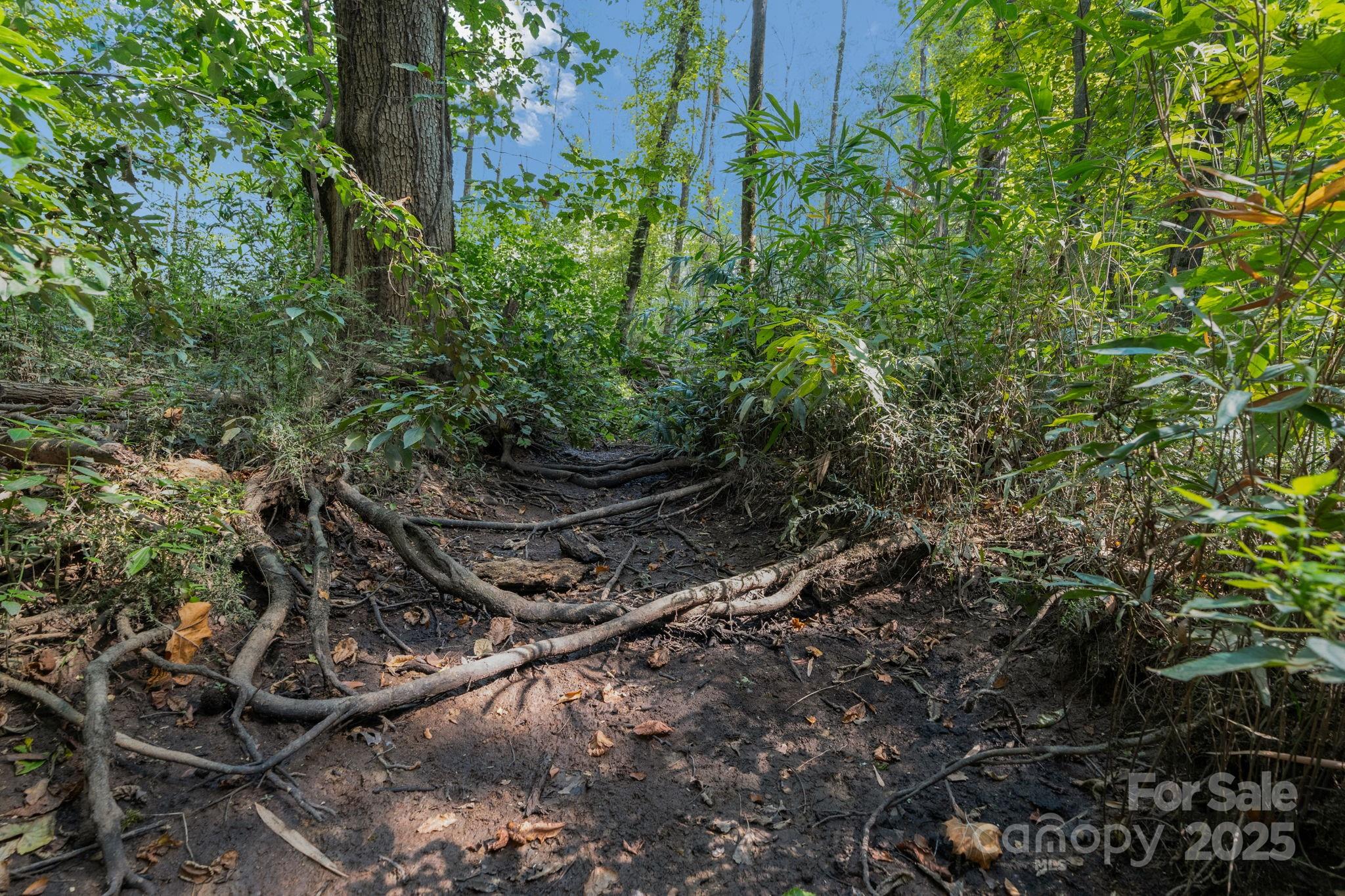 Triple C Mini Ranches - Land