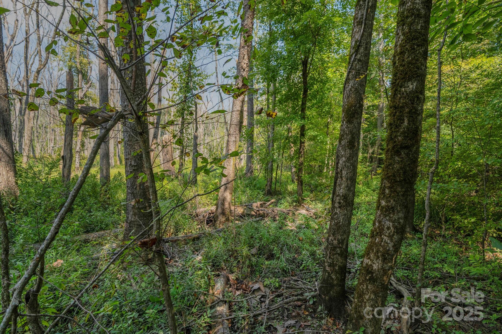 Triple C Mini Ranches - Land