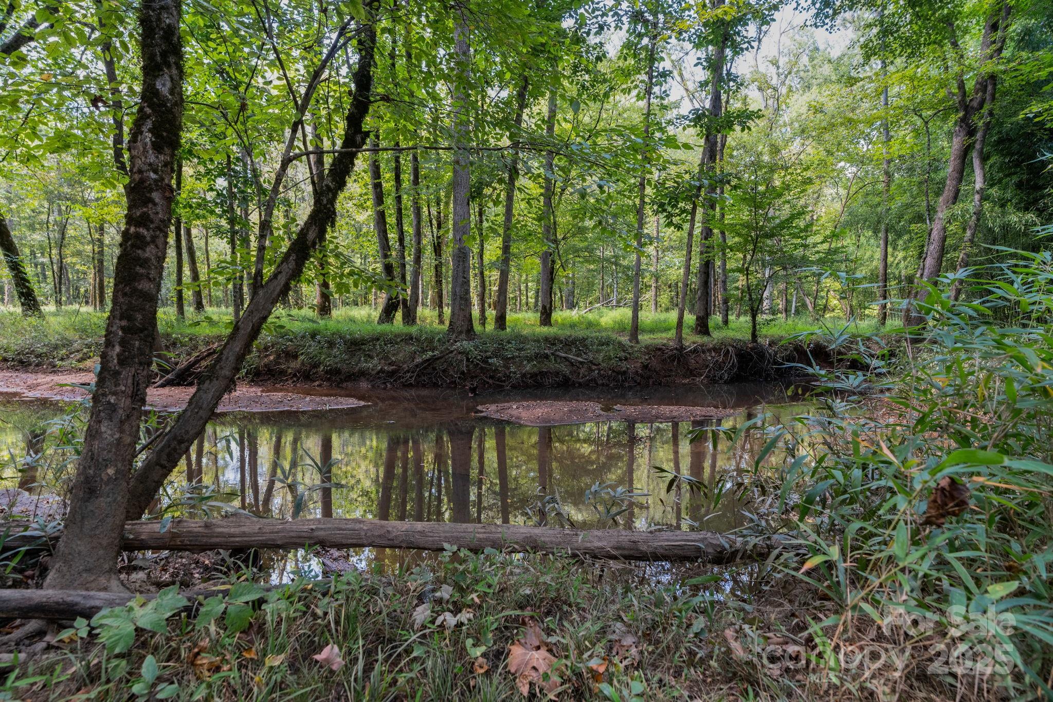 Triple C Mini Ranches - Land