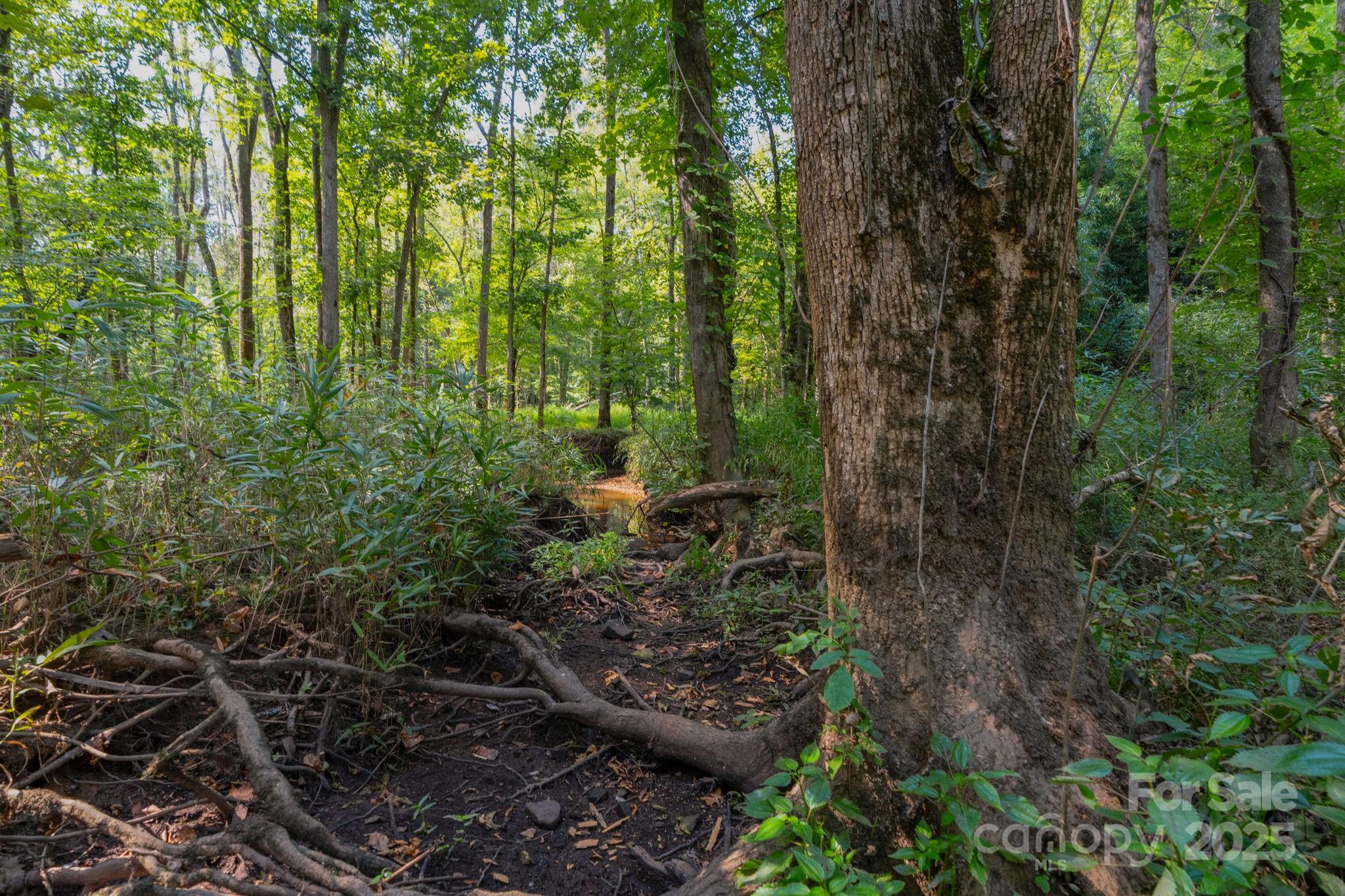 Triple C Mini Ranches - Land