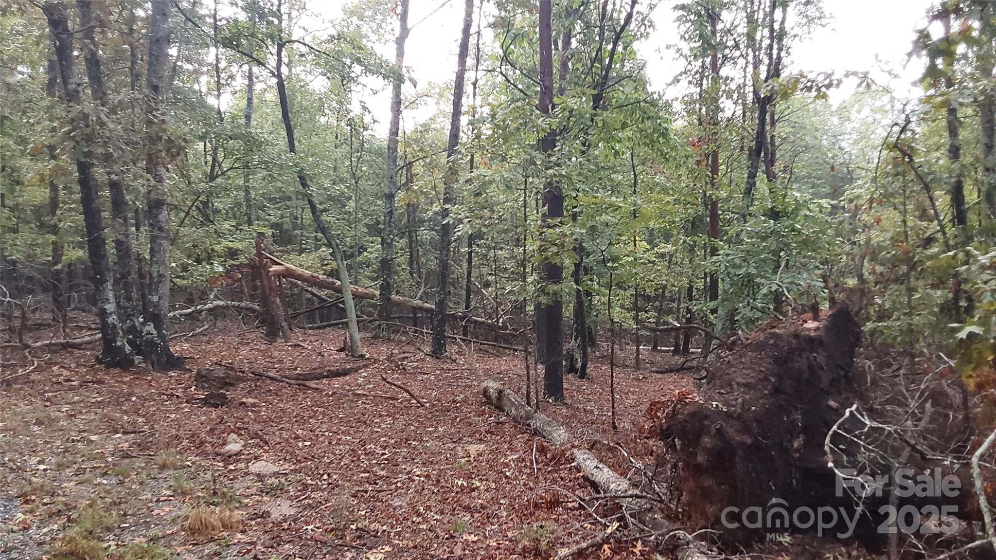 0 Breywood Court