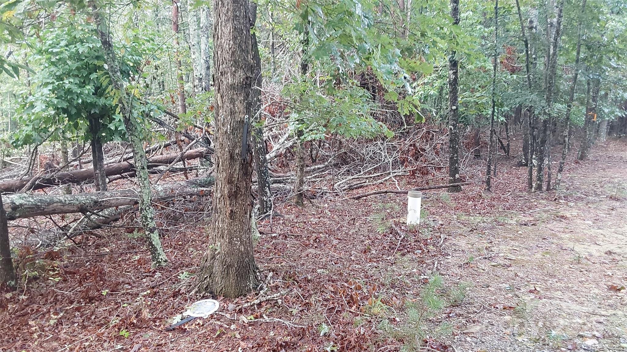 0 Breywood Court