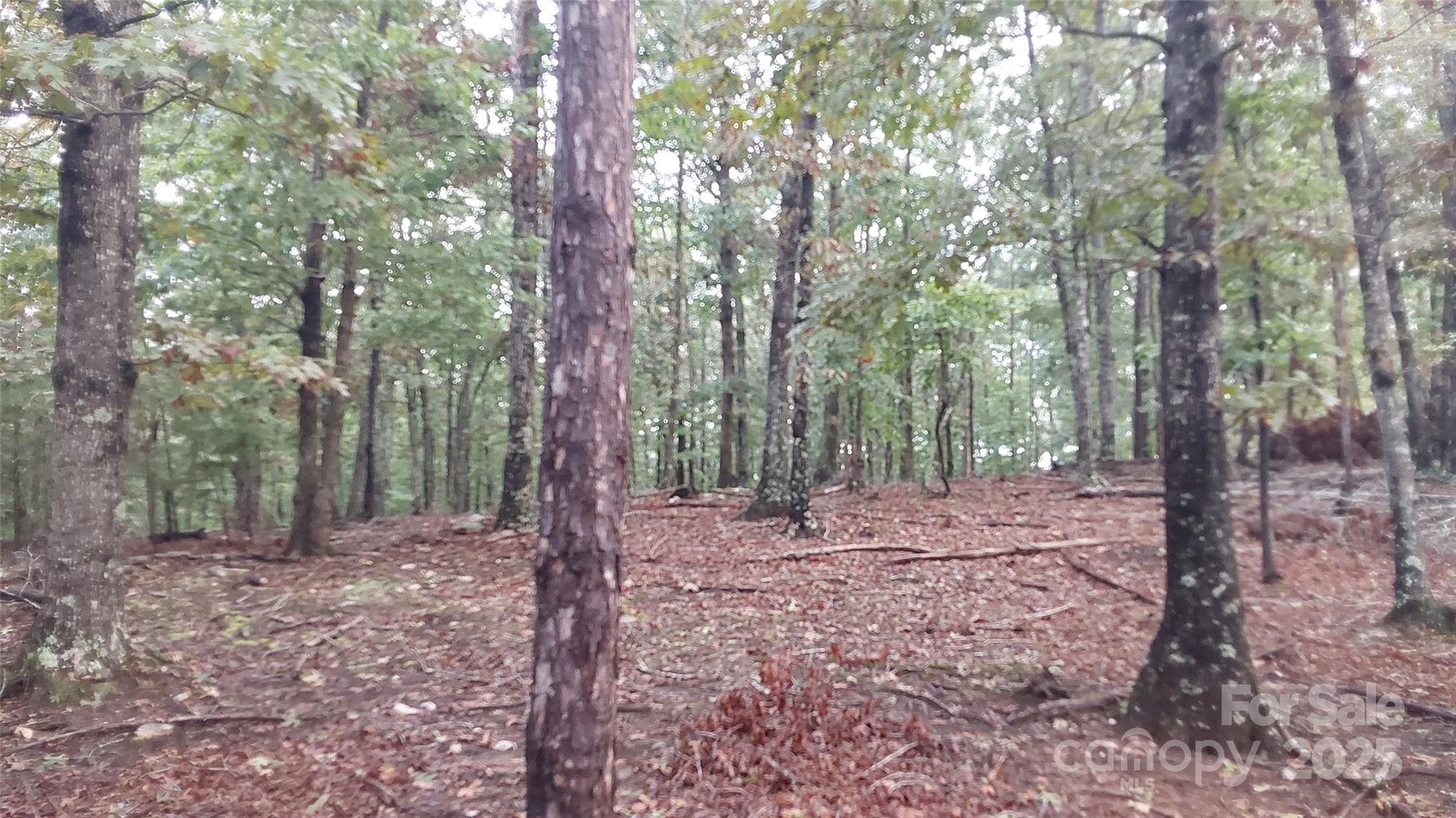 0 Breywood Court
