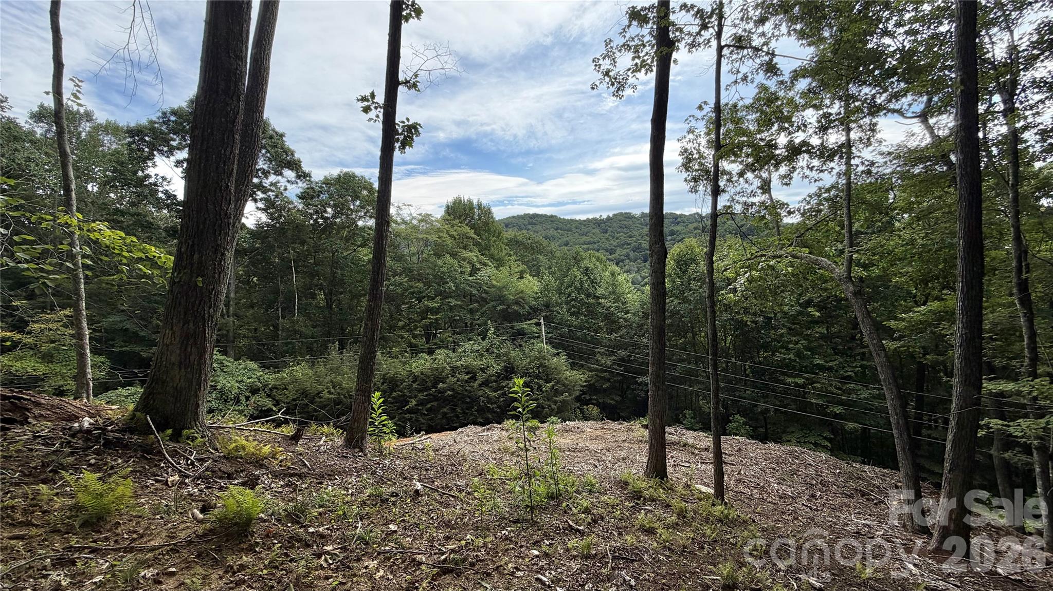 000 Fox Den Road 109