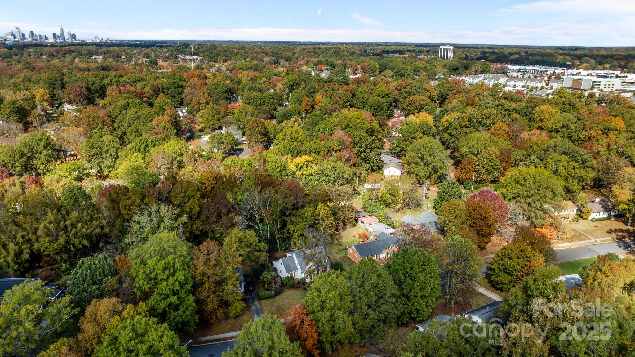 East Forest - Residential