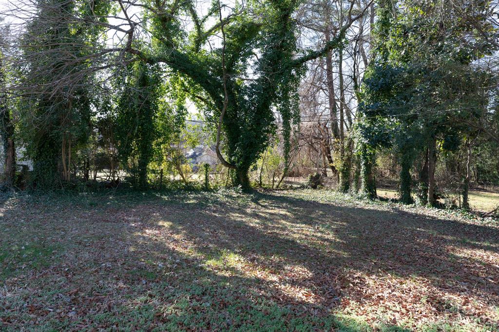 Aragon Baldwin Mills - Residential