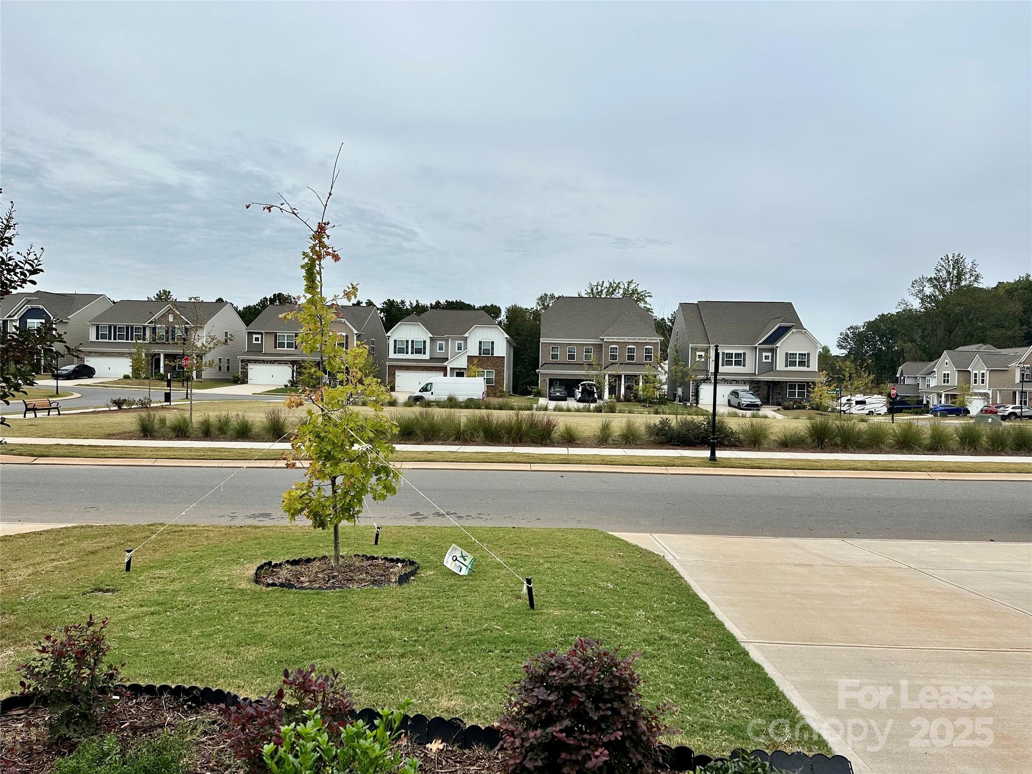 Elizabeth - Residential Lease