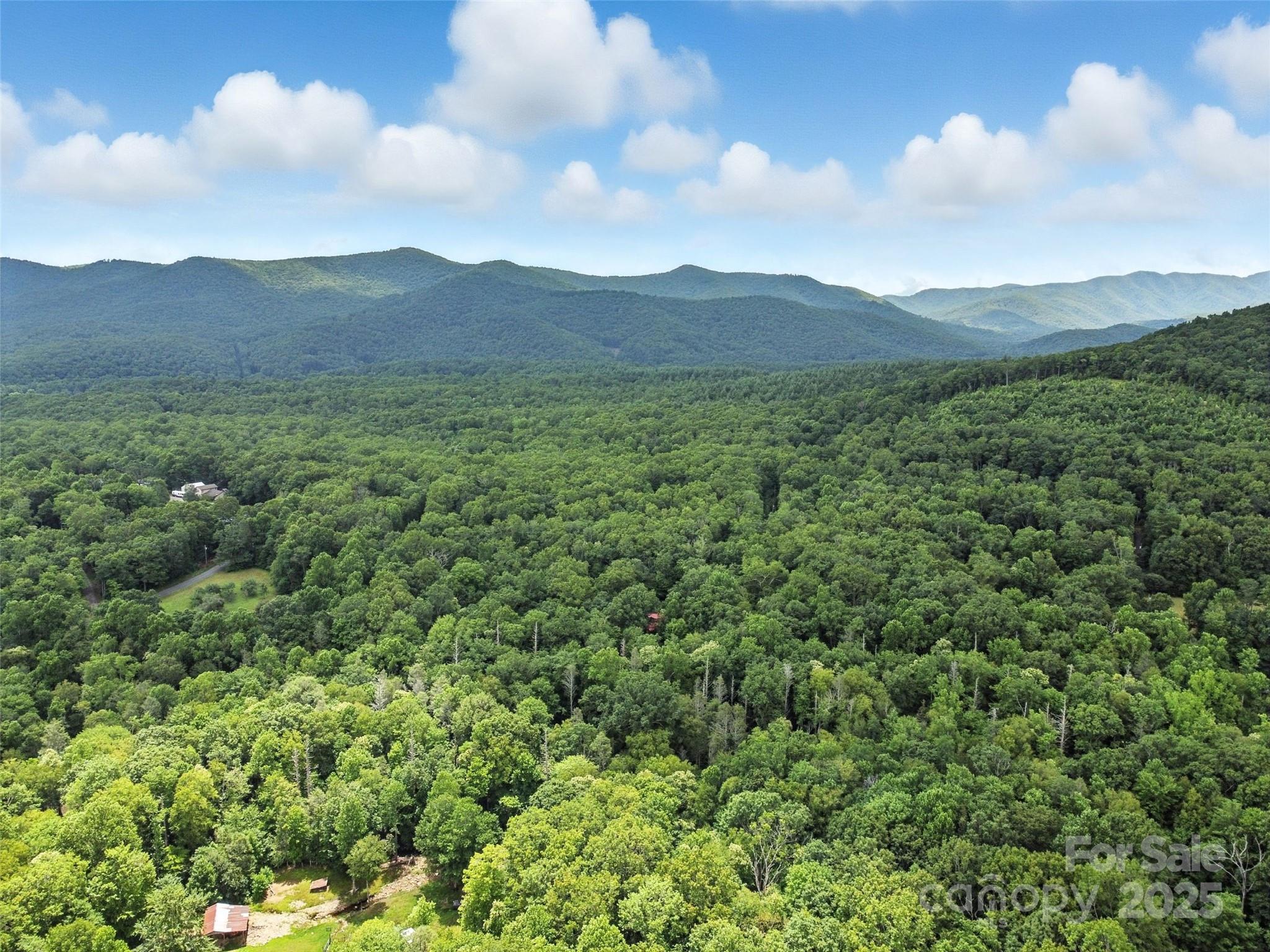 Rhododendron Park - Residential