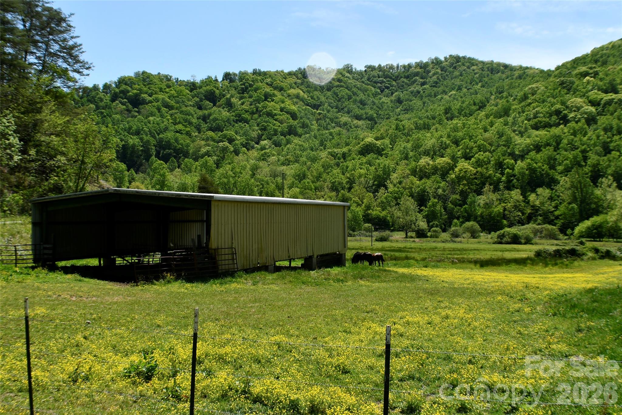 8200 Caney Fork Road