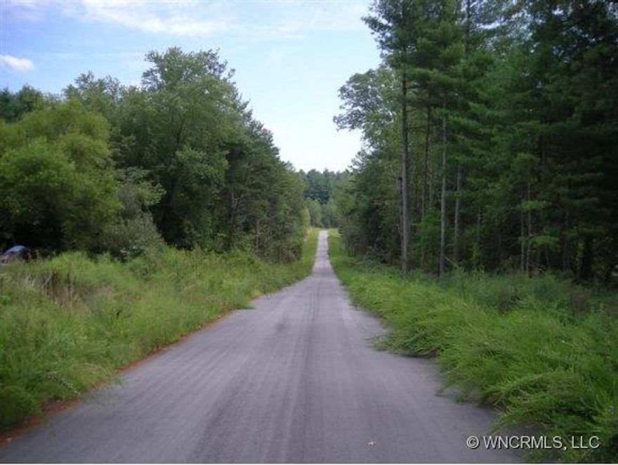 level wooded lots with under ground utilities city water, electric,and phone