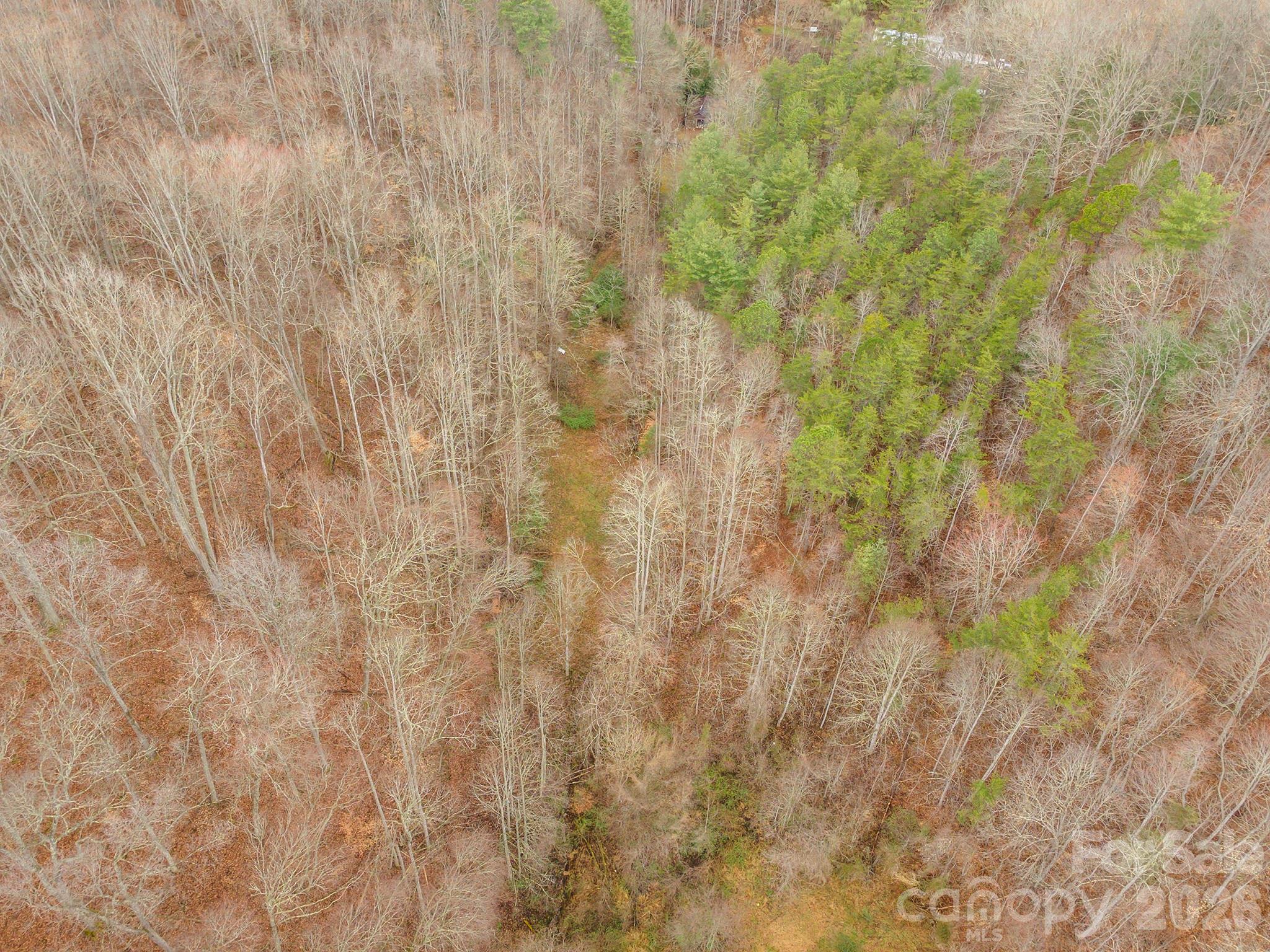 1974 Ammons Branch Road