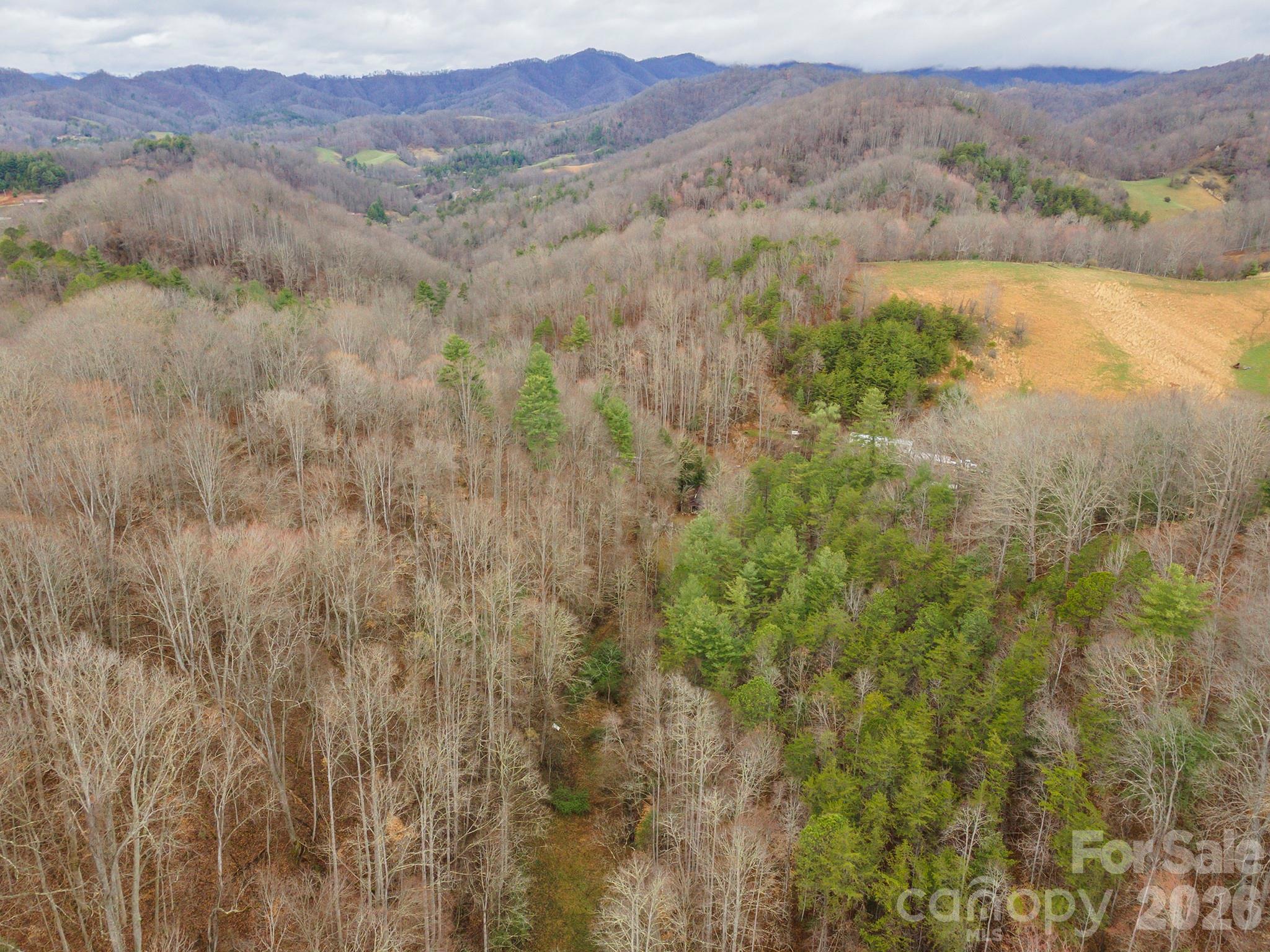 1974 Ammons Branch Road