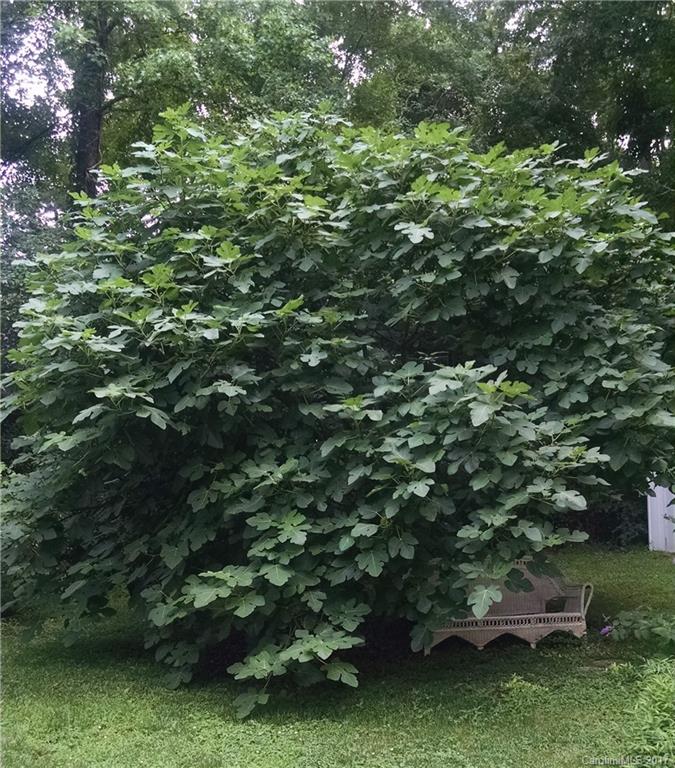 Hartford Village - Residential