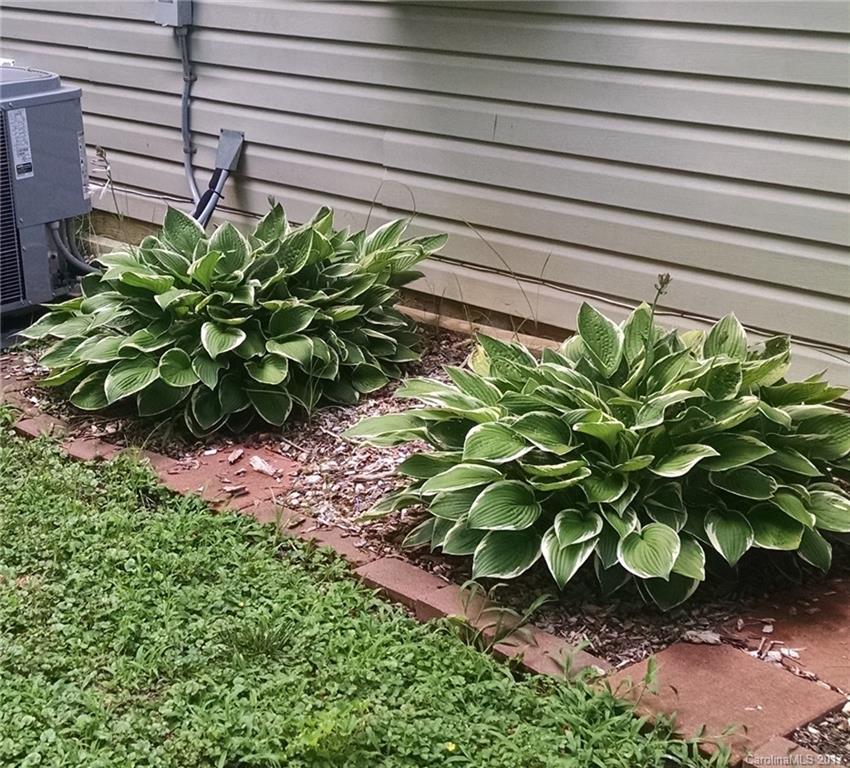 Hartford Village - Residential