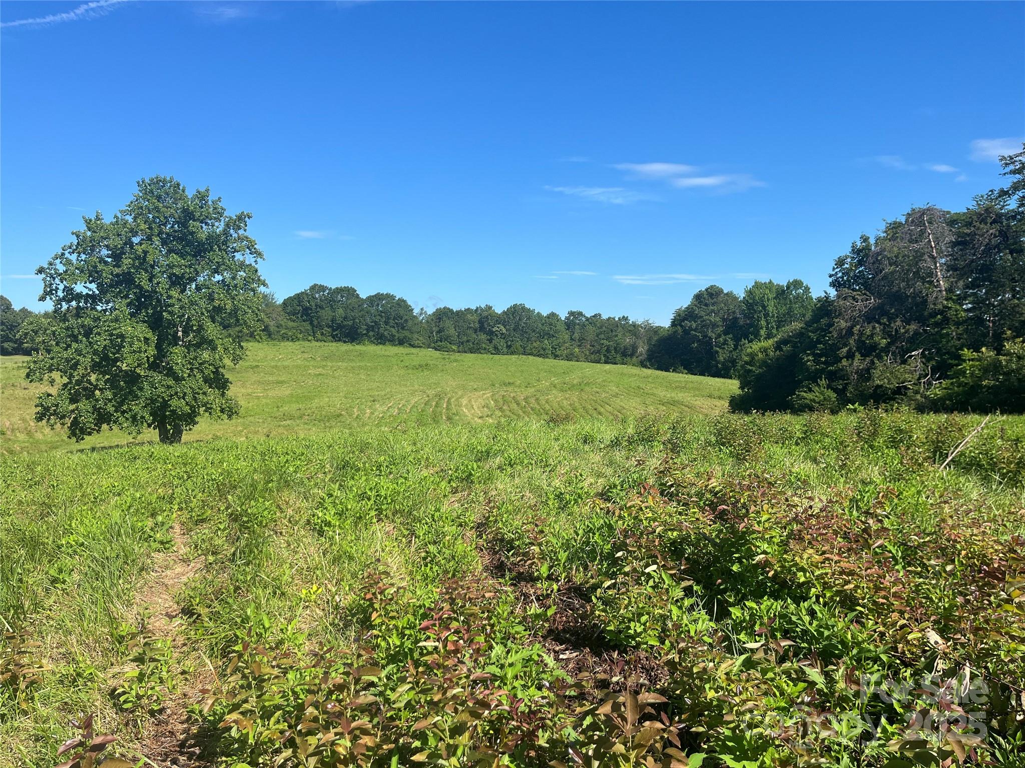 536 Pea Ridge Road