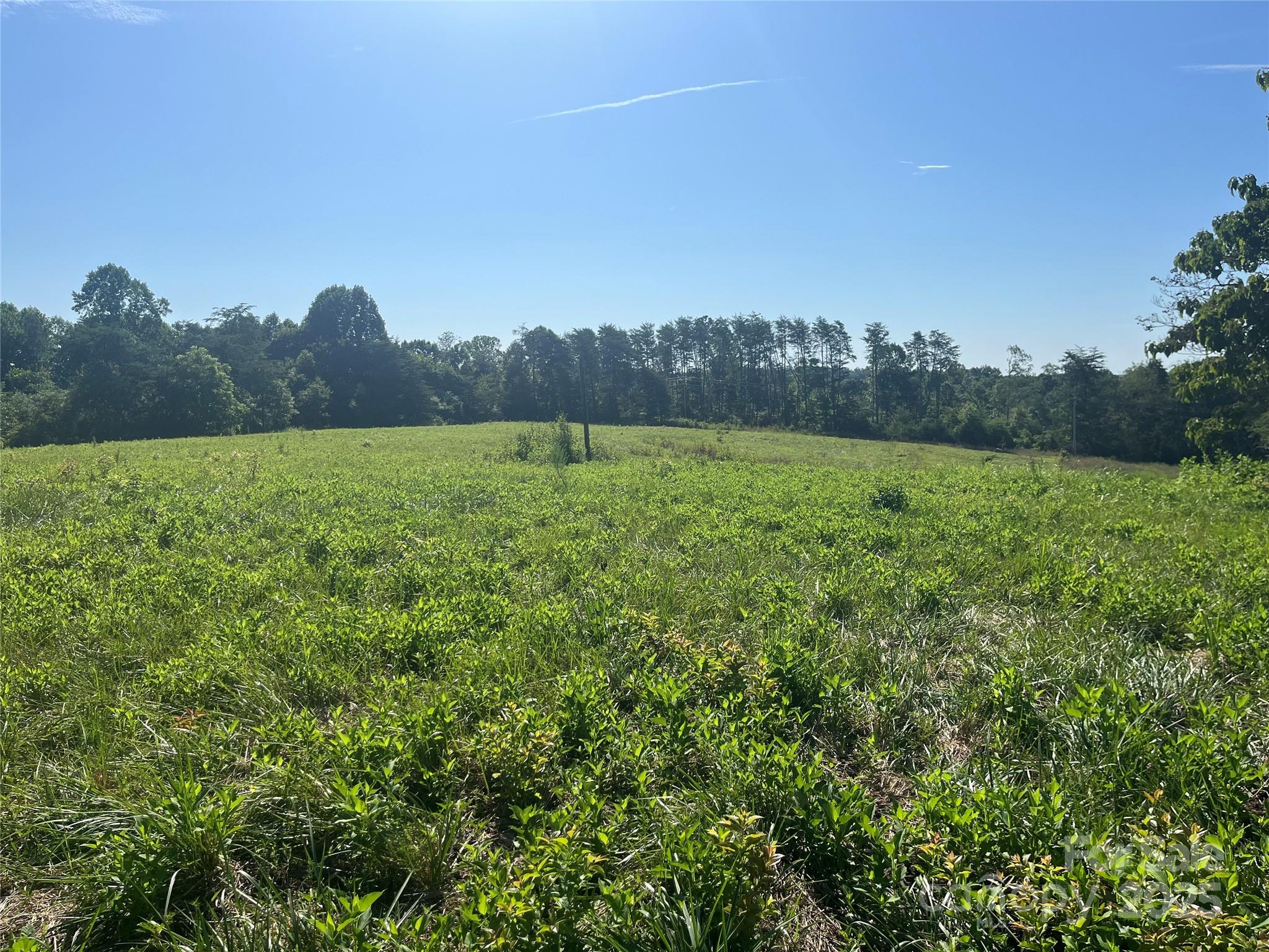 536 Pea Ridge Road