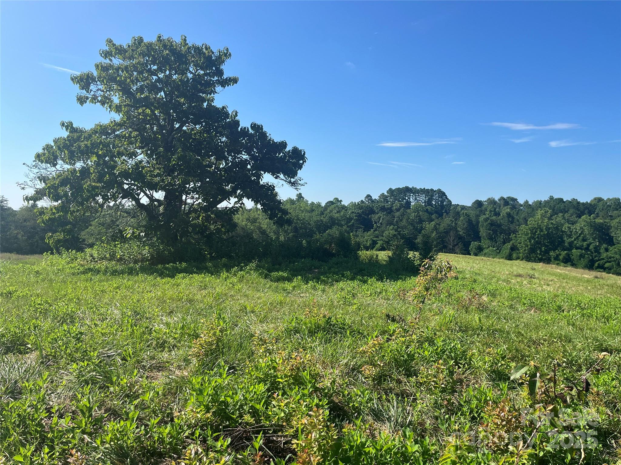 536 Pea Ridge Road