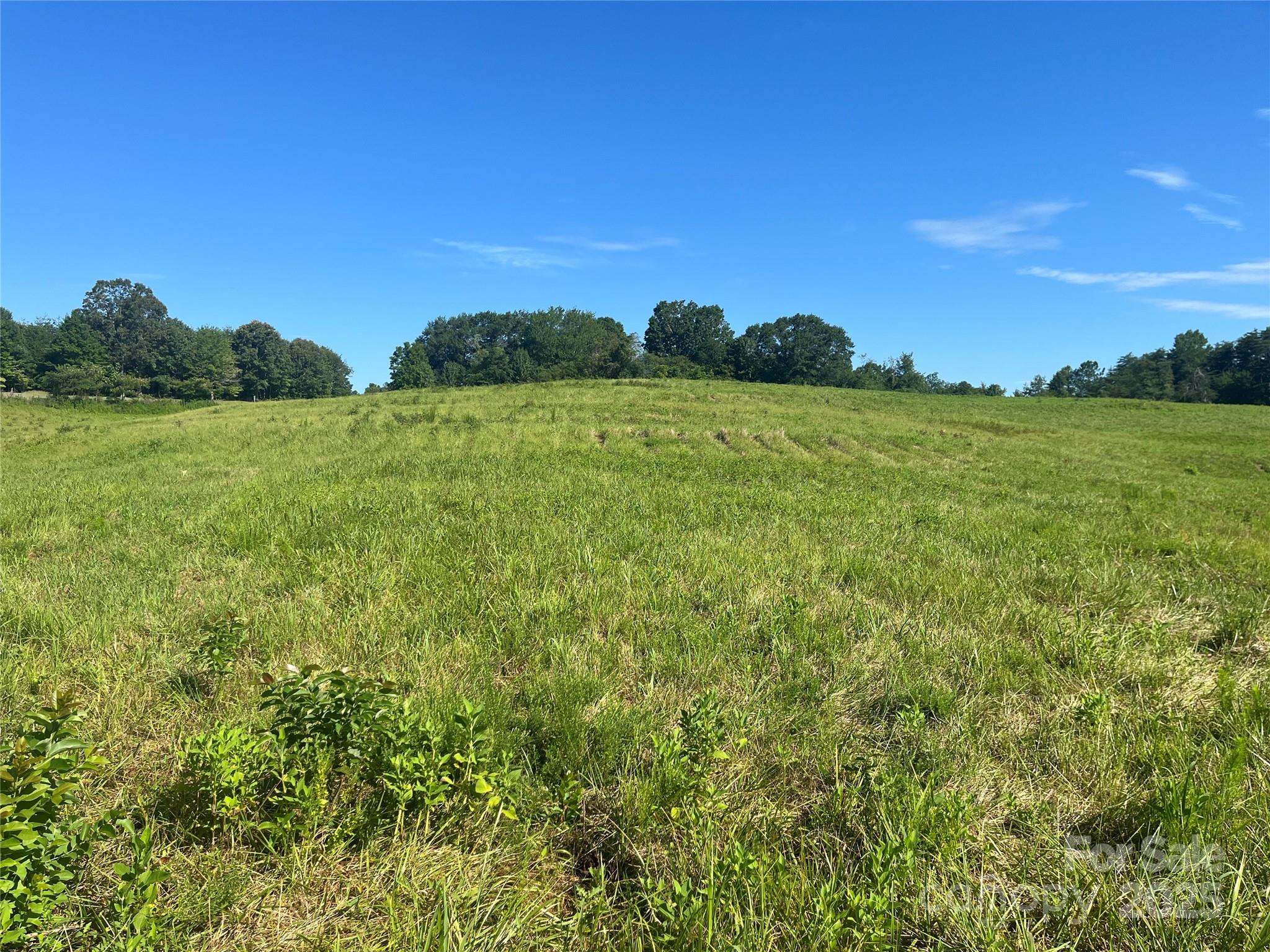 536 Pea Ridge Road