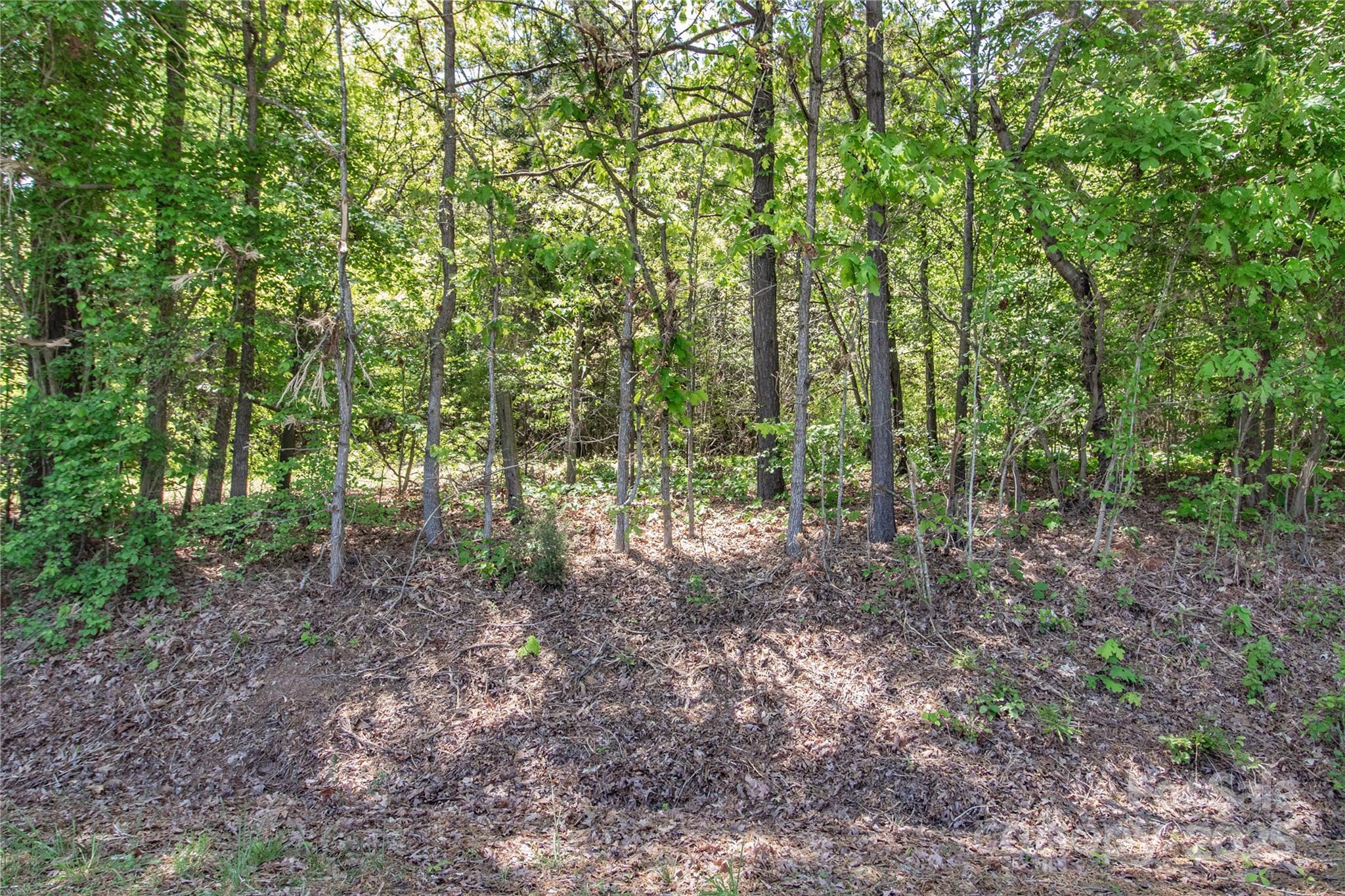 4271 Candlewood Drive