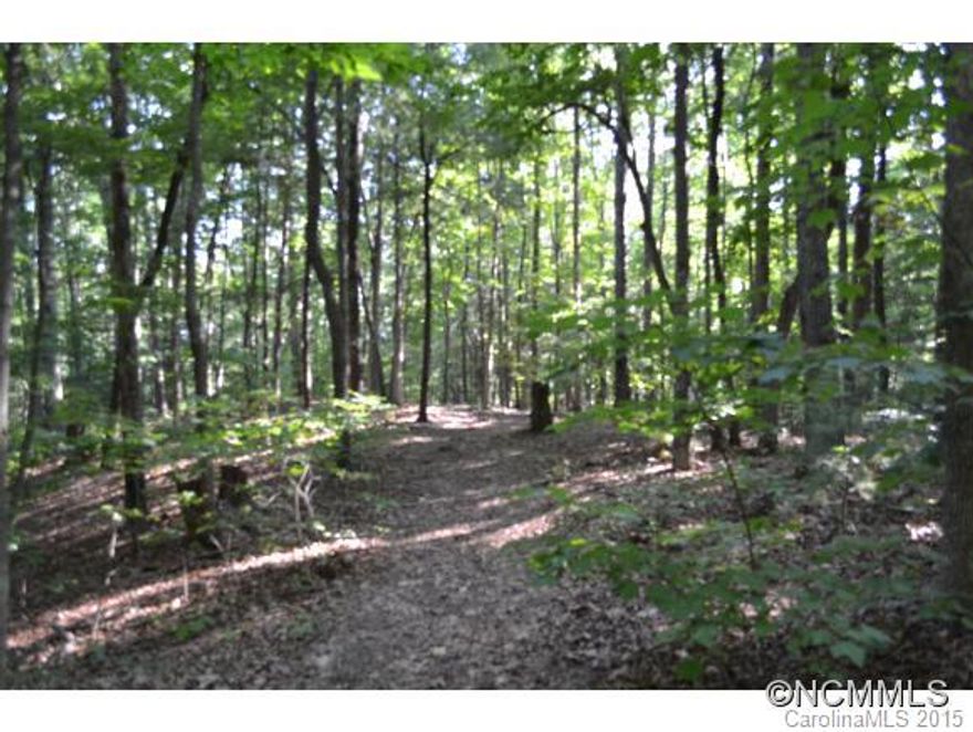 Ideal location close to Interstate for commuting yet tucked away in a quiet subdivision with light restrictions. Beautiful wooded lot with knoll for easy building site. Winter views. Off-Frame modular homes permitted. Minimum SF for one-story is 1200 SF. City water available. Paved private street with low HOA fee for road maintenance. Bring your builder!